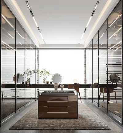 Modern Walk-in Closet with Glass Doors Large Window Dressing Table Mirrors and Plants 3d model