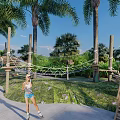 Outdoor Rope Course Area With Palm Trees Wooden Structures And Greenery For Activities 3d model