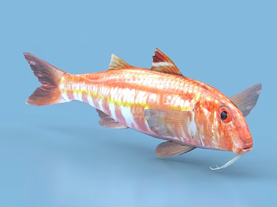 Vibrant Red and White Striped Aquatic Fish with Whiskers and Fins 3d model