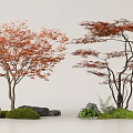 red maple landscape tree moss terrain 3d model