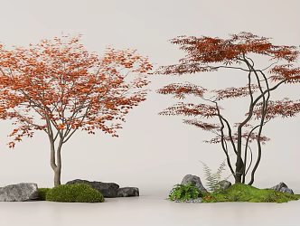 red maple landscape tree moss terrain 3d model