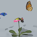 Different Colored Butterflies Flying Around Pink Flower With Green Leaves And Shadows