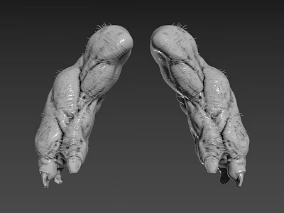 Realistic Fantasy Creature Claws 3D Model With Textured Surface And Spikes 3d model