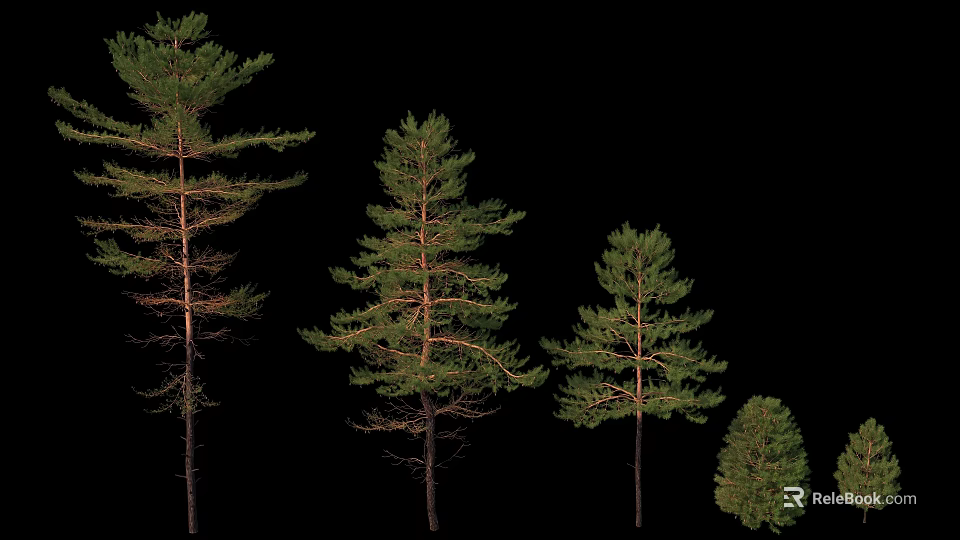 Trees of Various Sizes Isolated on Black Background with Green Foliage 3d model 