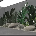Lush Indoor Plant Arrangement With Green Tropical Leaves Cacti Stones And Grey Wall