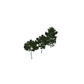 Natural Themed Decorative Ornament Set With Trees And Small Figure