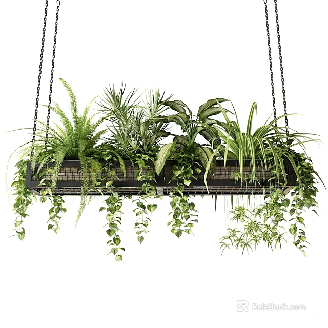 Hanging Basket with Various Green Plants Ferns and Vines for Indoor Decor 3d model 