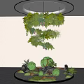 Indoor Garden Decor With Hanging Spiral Plants Moss And Circular Stone Base