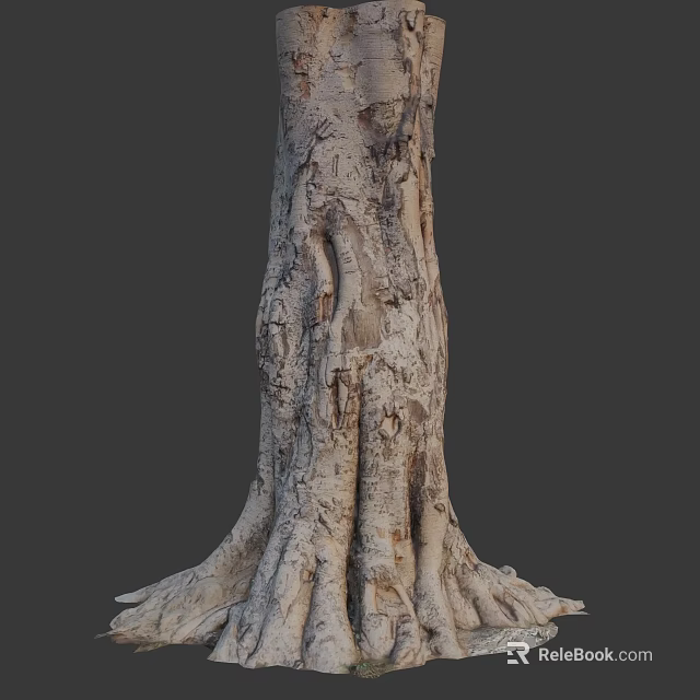 Tall Arbor Tree Trunk With Intricate Bark Texture And Exposed Roots 3d model