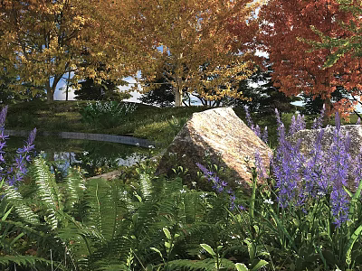 Beautiful Garden With Purple Flowers Ferns Large Rock And Autumn Trees Around Small Pond 3d model