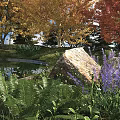 Beautiful Garden With Purple Flowers Ferns Large Rock And Autumn Trees Around Small Pond