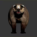 Realistic 3D Badger Model With Brown And White Fur Standing Pose