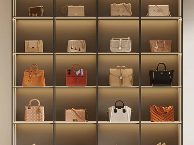 Luxury Fashion Bags Display on Shelves with Various Styles and Colors 3d model