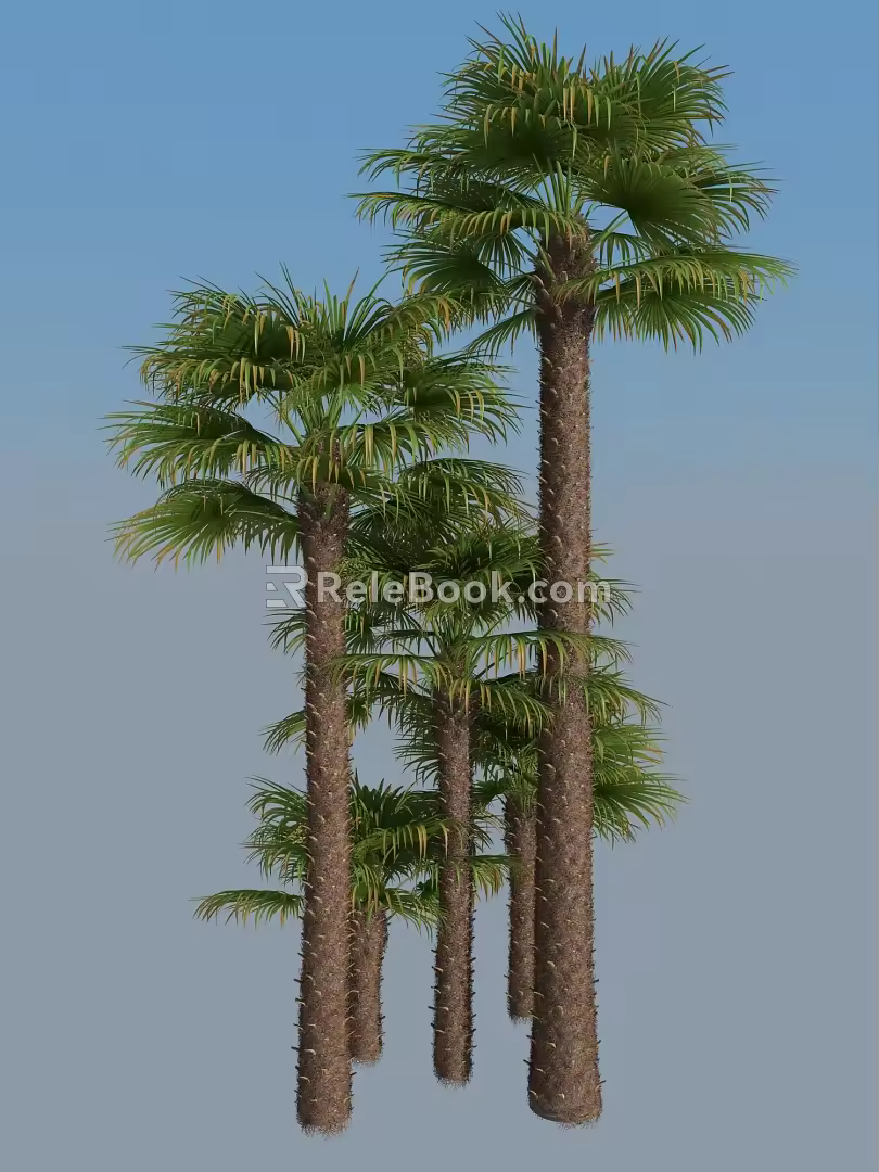 Modern Palm Tree 3d model
