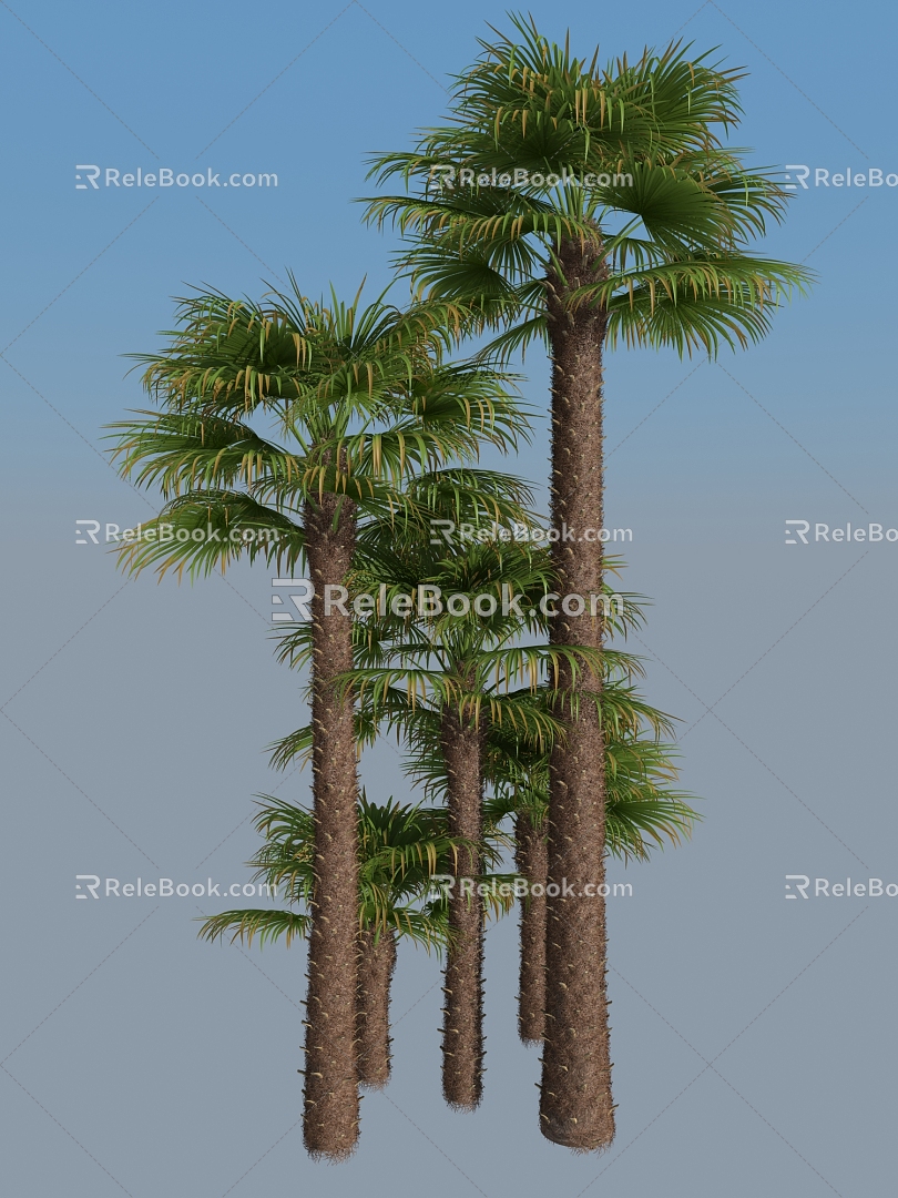 Modern Palm Tree 3d model