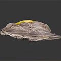 Natural Stone Material Display Piece On Wooden Base With Decorative Texture And Smooth Surface