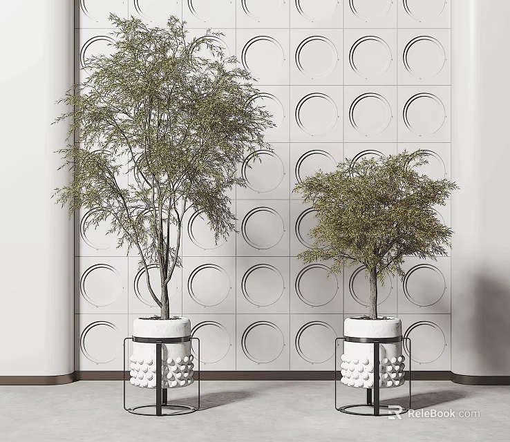 Bonsai Trees in White Pots with Black Metal Stands Against Circular Patterned Wall 3d model 