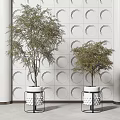 Bonsai Trees in White Pots with Black Metal Stands Against Circular Patterned Wall