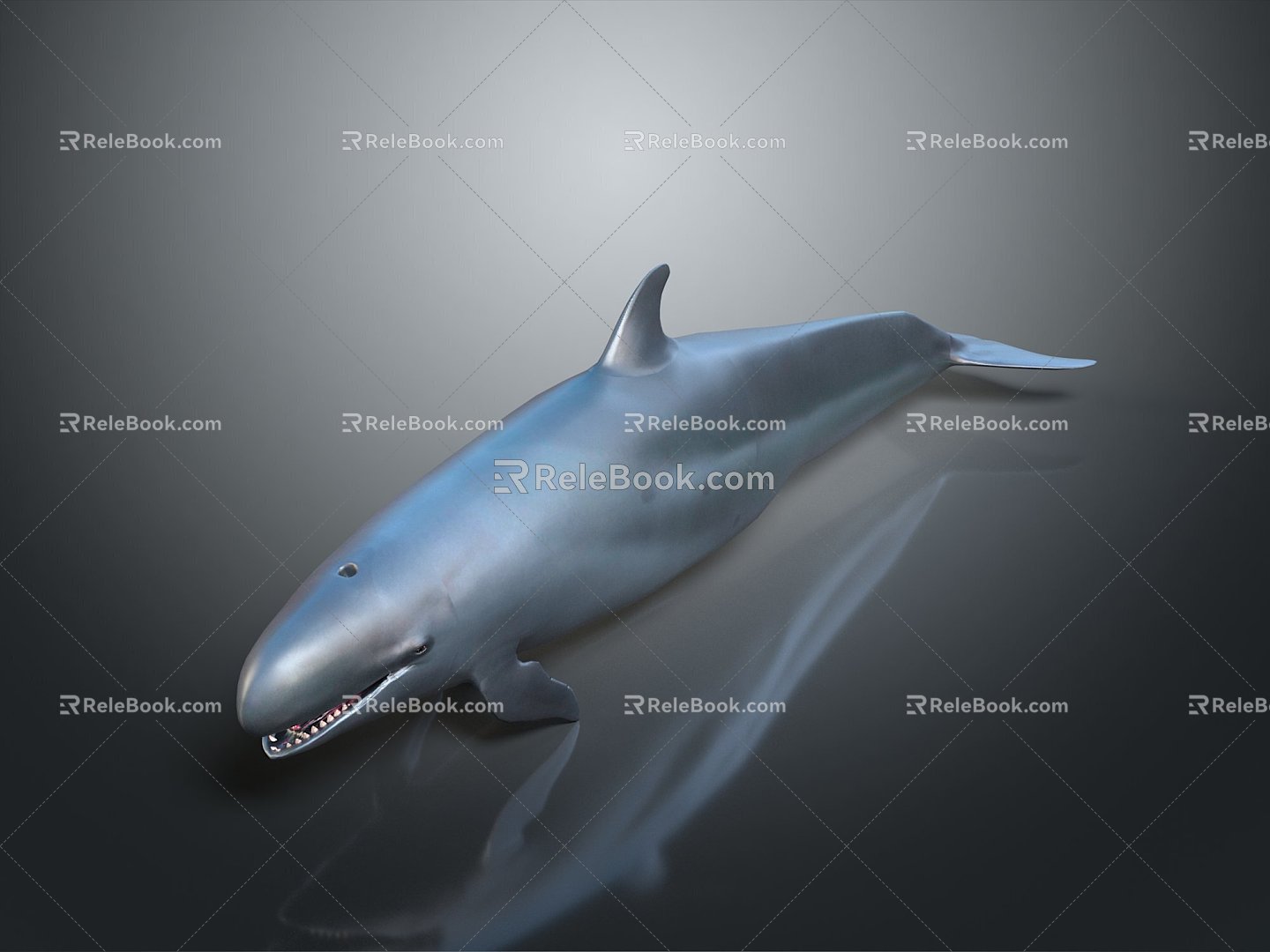 Modern Killer Whale Orca Killer Whale 3d model