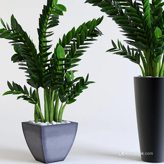 Lush Green Bonsai Potted Plants in Gray Square Pot with White Pebbles and Black Planter 3d model 