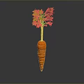 Fresh Organic Carrot with Green Leafy Tops on Dark Background