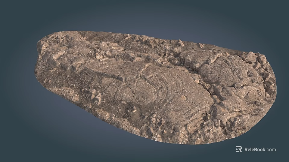 Natural Stone Wood Decorative Piece With Rustic Texture And Organic Patterns 3d model