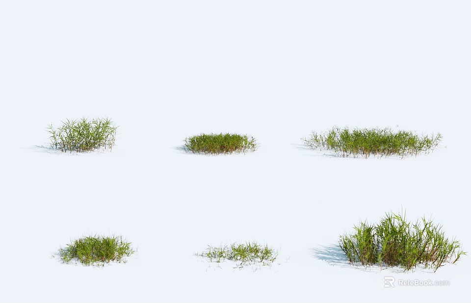 Displaying Different Shapes And Sizes Of Natural Green Grass Tufts On White Background 3d model 