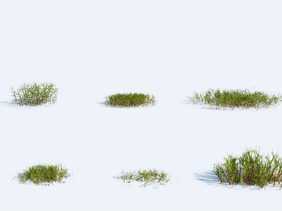 Displaying Different Shapes And Sizes Of Natural Green Grass Tufts On White Background 3d model