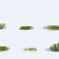 Displaying Different Shapes And Sizes Of Natural Green Grass Tufts On White Background