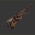 Modern Moth Animal Anime Character 3d model