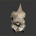 Detailed Anatomical Bird Skull Structure With Hollow Bones And Eye Socket