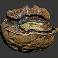 Opened Walnut with Brown Shell and Visible Yellow Kernel on Dark Background