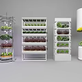 Commercial Indoor Growing Equipment with Multi Tier Racks LED Lights and Fresh Plants