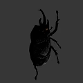 Detailed Bronze Beetle Sculpture With Realistic Horns And Legs Design