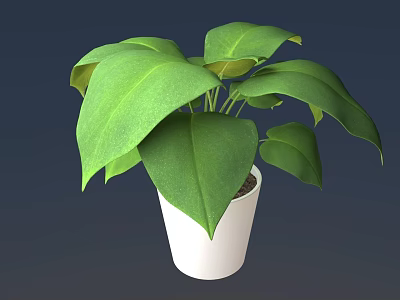Potted Plant With Lush Green Leaves In White Ceramic Pot 3d model