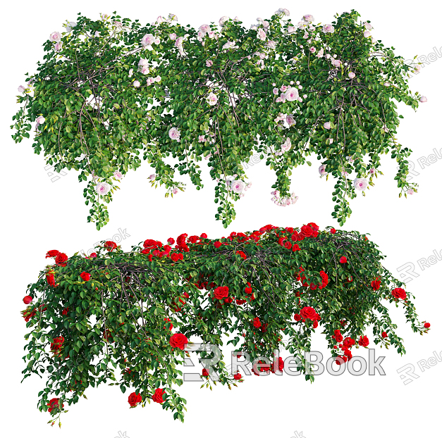 Modern Vine Rose Flower Plant model