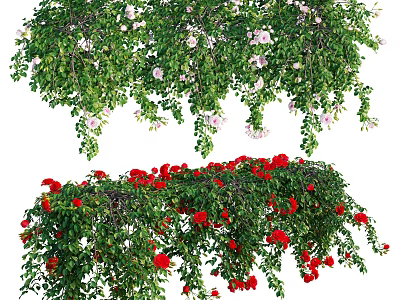 Lush Hanging Vines With Green Leaves And Red Pink Blooms For Garden Decoration 3d model