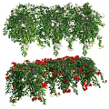 Lush Hanging Vines With Green Leaves And Red Pink Blooms For Garden Decoration