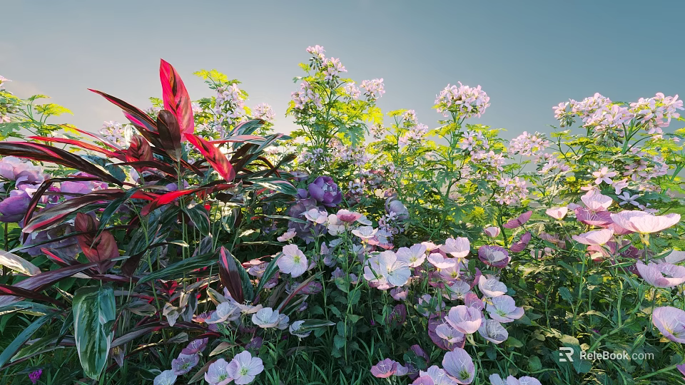 Vibrant Flowering Shrubs With Pink Purple Blooms Red Leaves And Green Foliage 3d model 