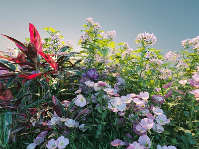 Vibrant Flowering Shrubs With Pink Purple Blooms Red Leaves And Green Foliage 3d model