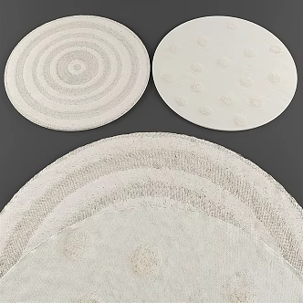 Modern Round Carpet 3d model