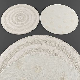 Modern Round Carpet 3d model