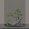 Delicate Miniature Garden Scene With Bonsai Pine Stone Glass Cover And Water Ripple Base