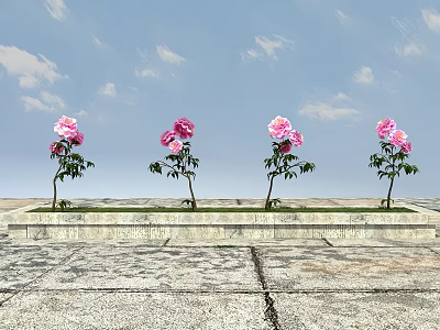 Four Pink Flowers Planted In Stone Flower Bed Against Blue Sky With White Clouds 3d model