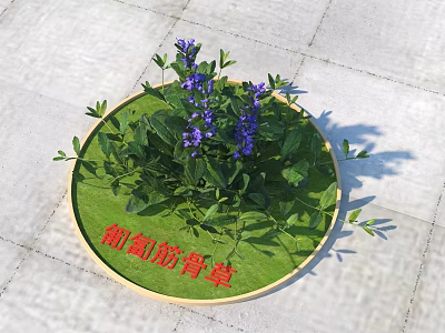 Commercial Plant Display Equipment With Round Green Tray And Purple Creeping Ajuga 3d model