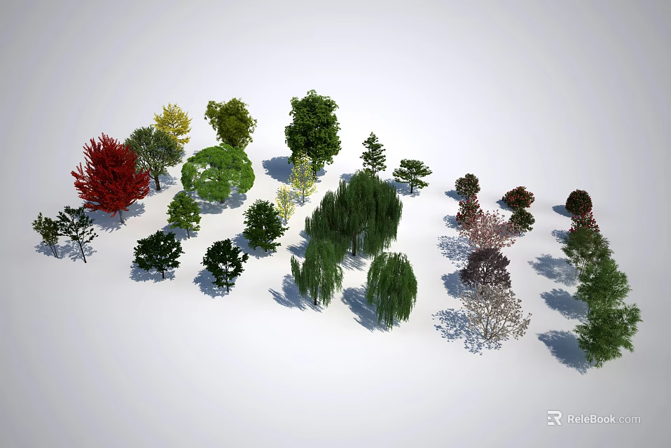 Various Species of Arbor Trees With Different Leaf Colors And Natural Shapes For Landscaping 3d model 