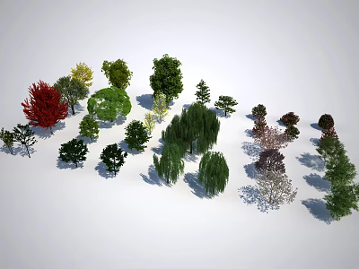 Various Species of Arbor Trees With Different Leaf Colors And Natural Shapes For Landscaping 3d model