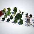 Various Species of Arbor Trees With Different Leaf Colors And Natural Shapes For Landscaping