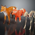 Three Fox Models Displaying Full Body Muscle Anatomy and Skeleton Structure 3d model