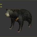 Realistic 3D Black Bear Model With Orange Neck And Standing Posture